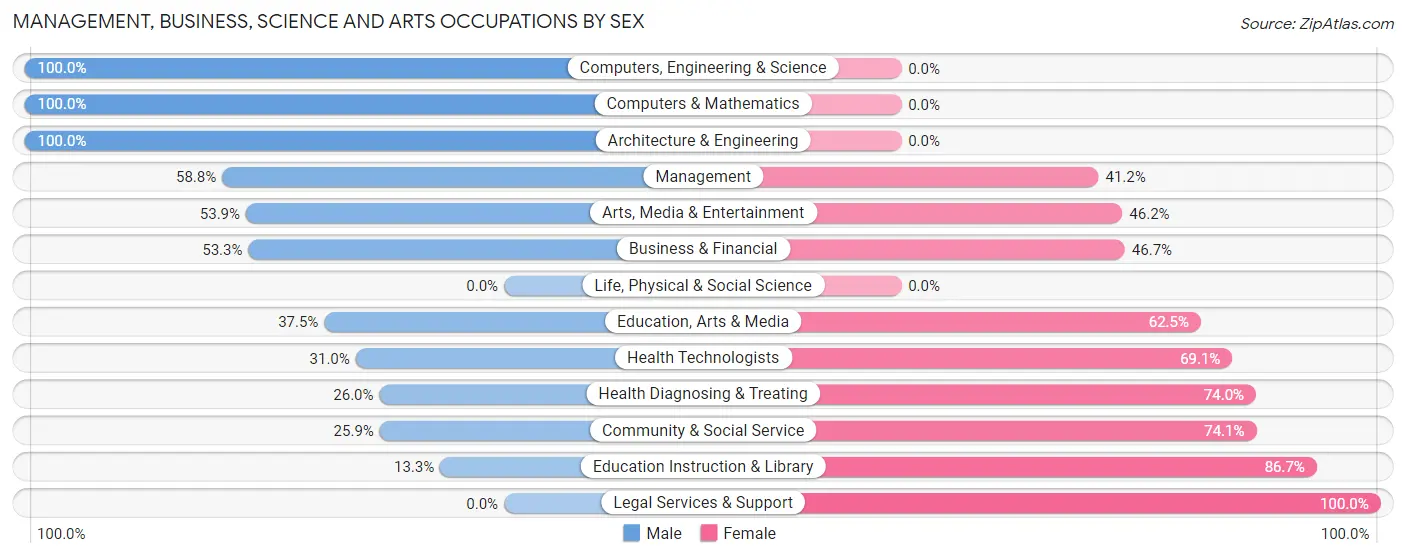 Management, Business, Science and Arts Occupations by Sex in Ship Bottom borough
