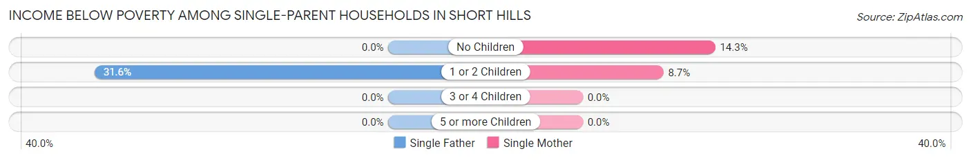 Income Below Poverty Among Single-Parent Households in Short Hills
