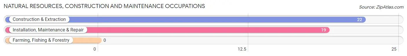 Natural Resources, Construction and Maintenance Occupations in Shrewsbury borough