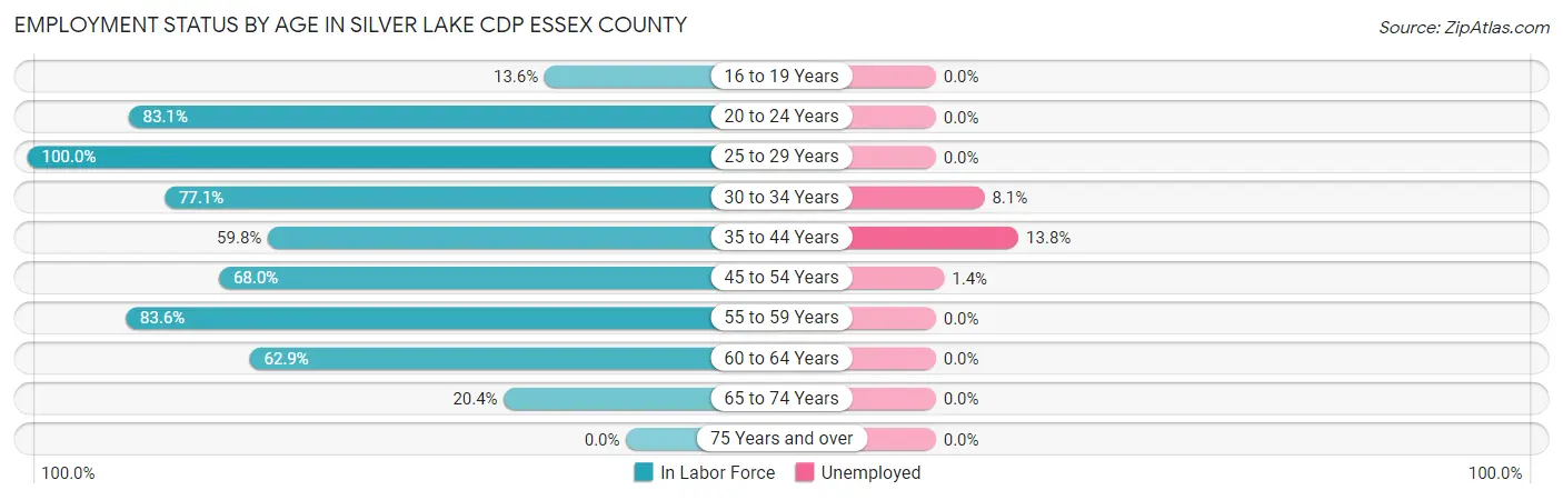 Employment Status by Age in Silver Lake CDP Essex County