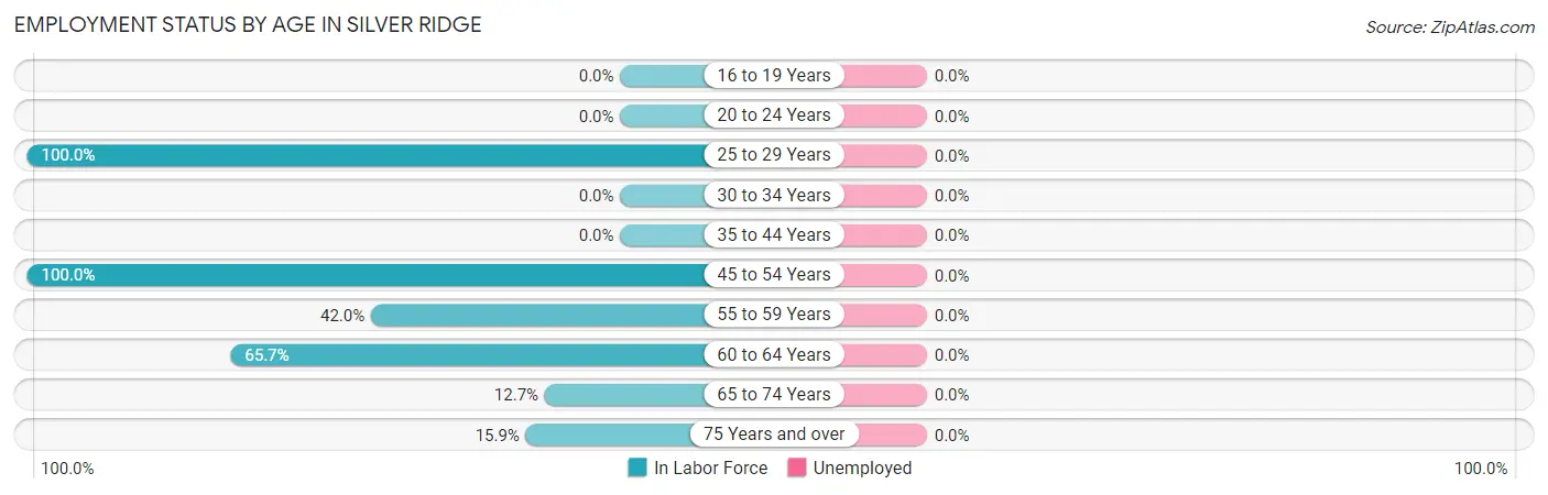 Employment Status by Age in Silver Ridge