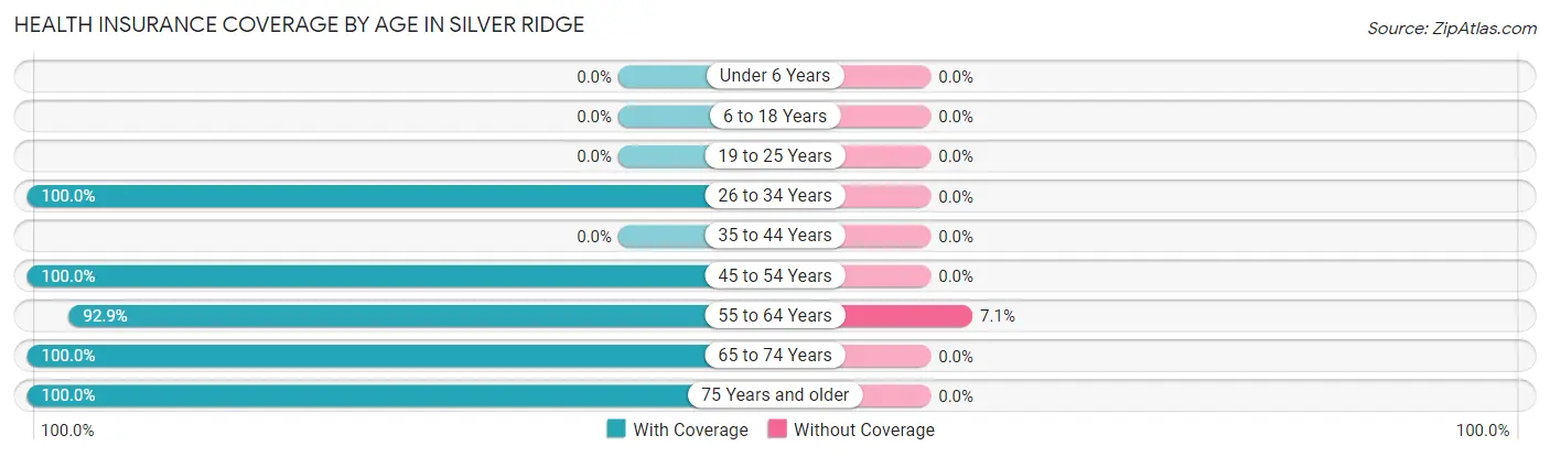 Health Insurance Coverage by Age in Silver Ridge