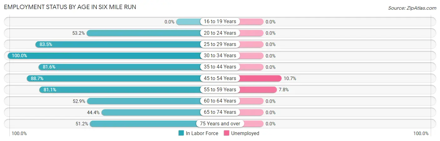 Employment Status by Age in Six Mile Run