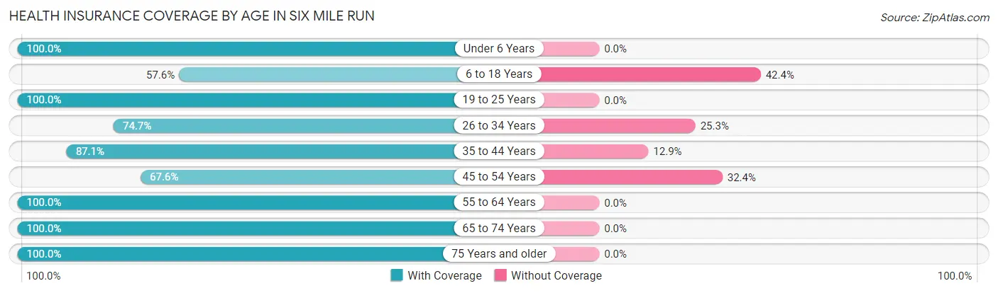 Health Insurance Coverage by Age in Six Mile Run