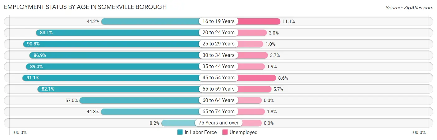 Employment Status by Age in Somerville borough