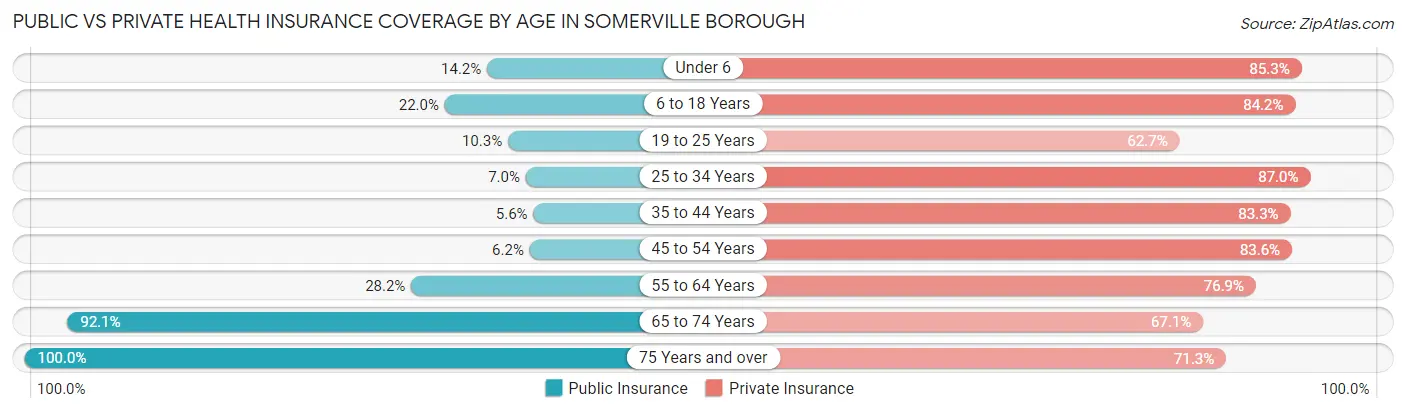 Public vs Private Health Insurance Coverage by Age in Somerville borough