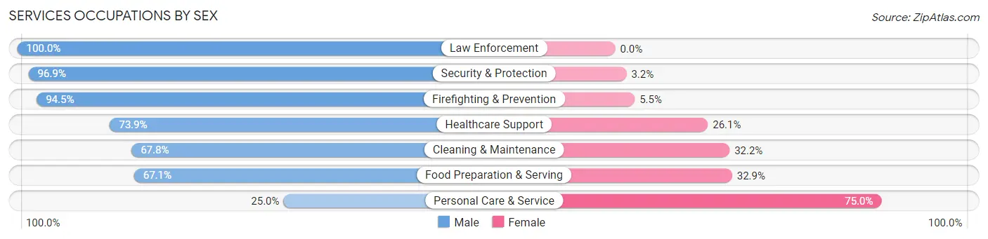 Services Occupations by Sex in Somerville borough