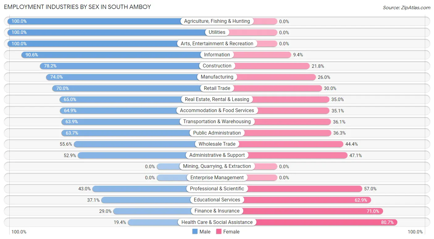 Employment Industries by Sex in South Amboy