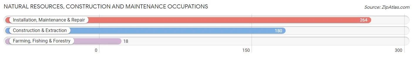 Natural Resources, Construction and Maintenance Occupations in South Amboy