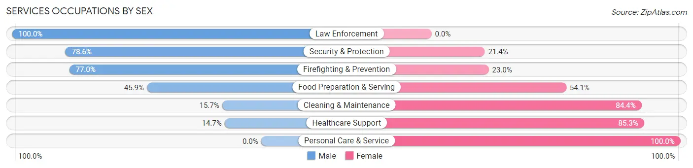 Services Occupations by Sex in South Amboy