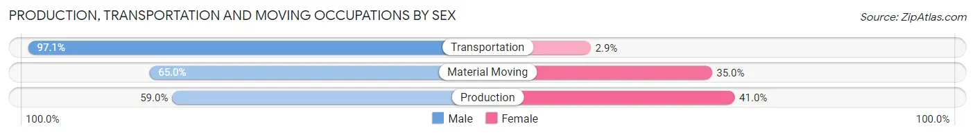 Production, Transportation and Moving Occupations by Sex in South Bound Brook borough