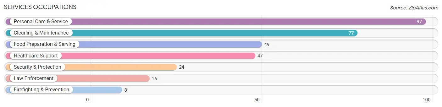 Services Occupations in South Bound Brook borough