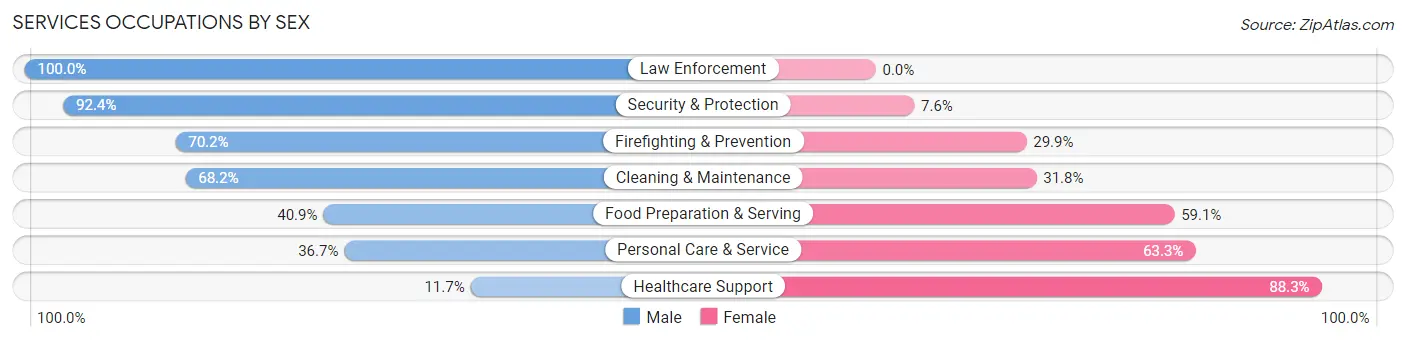 Services Occupations by Sex in South Plainfield borough