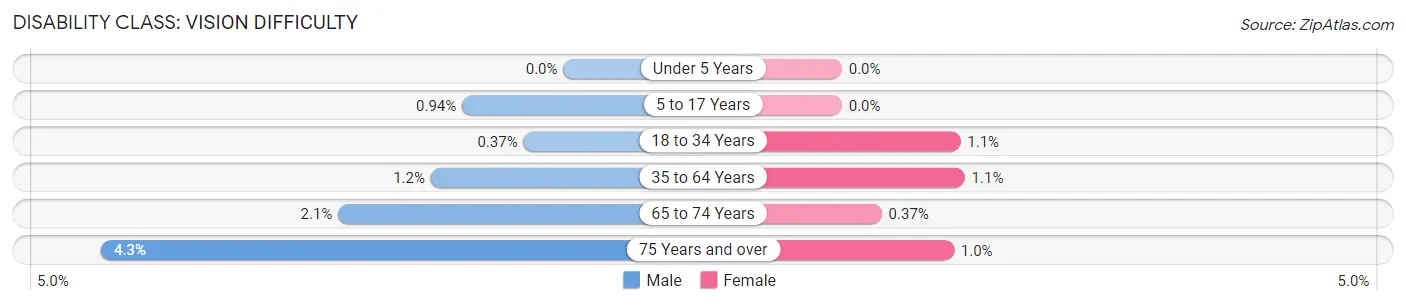 Disability in South Plainfield borough: <span>Vision Difficulty</span>