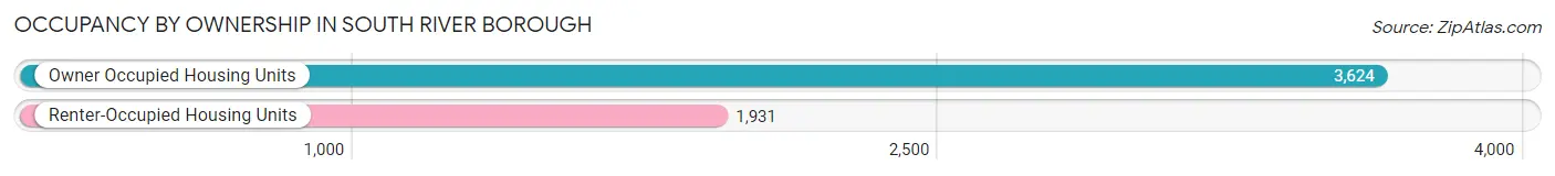 Occupancy by Ownership in South River borough