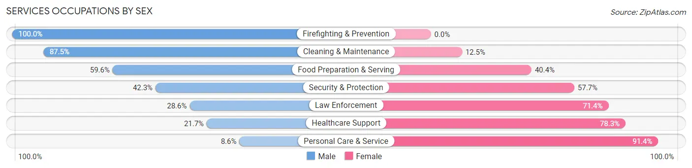 Services Occupations by Sex in South Toms River borough