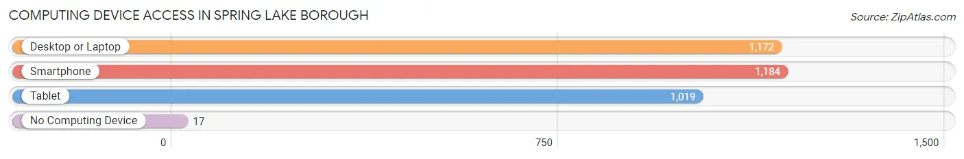 Computing Device Access in Spring Lake borough