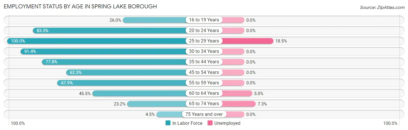 Employment Status by Age in Spring Lake borough