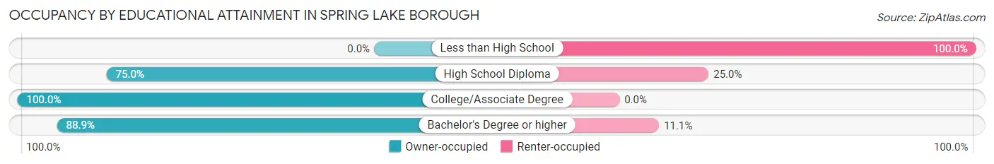 Occupancy by Educational Attainment in Spring Lake borough