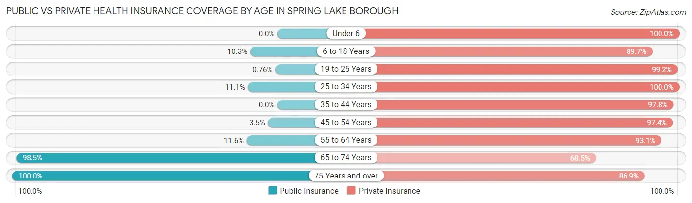 Public vs Private Health Insurance Coverage by Age in Spring Lake borough