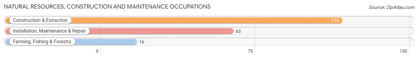 Natural Resources, Construction and Maintenance Occupations in Springdale