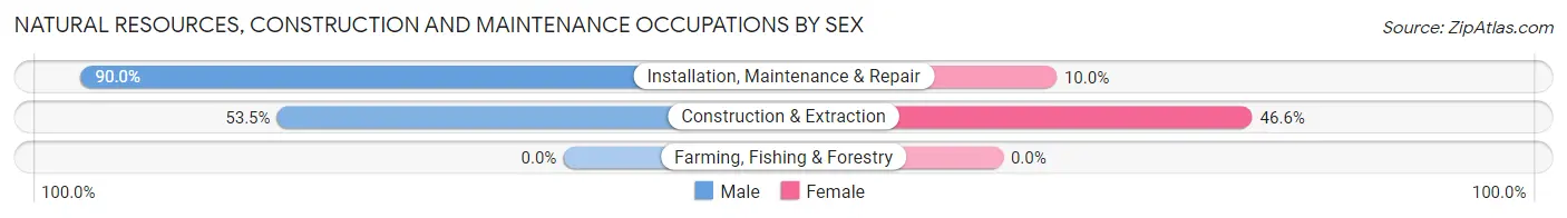 Natural Resources, Construction and Maintenance Occupations by Sex in Strathmore