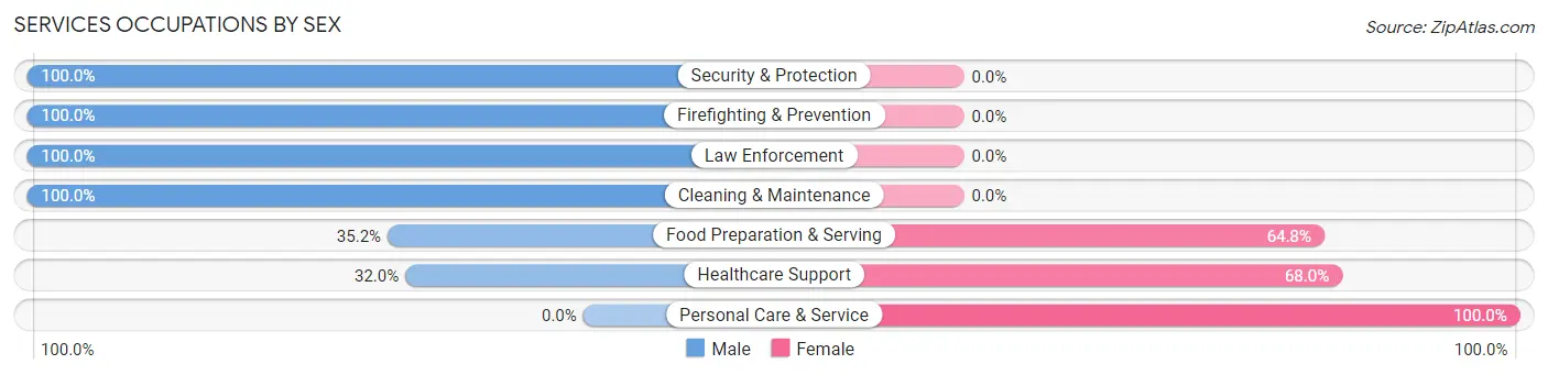 Services Occupations by Sex in Sussex borough