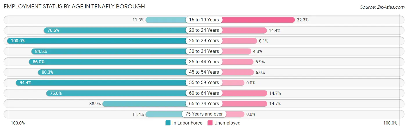 Employment Status by Age in Tenafly borough