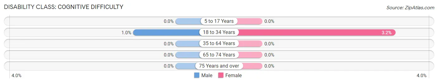 Disability in The College of New Jersey: <span>Cognitive Difficulty</span>