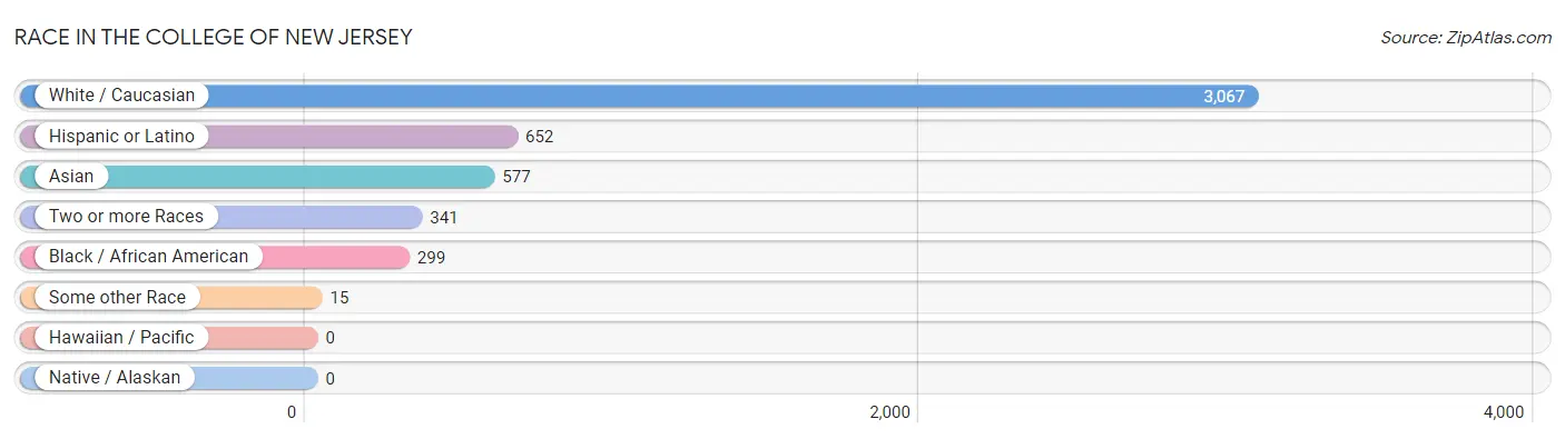Race in The College of New Jersey