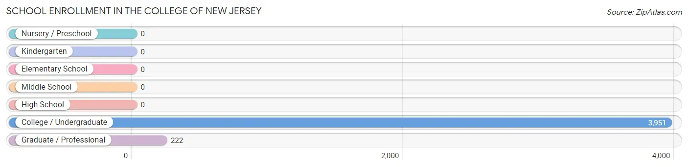 School Enrollment in The College of New Jersey