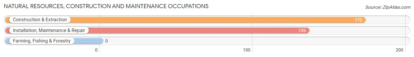 Natural Resources, Construction and Maintenance Occupations in Totowa borough