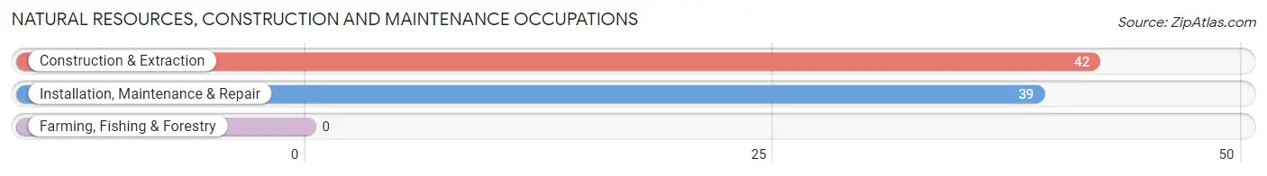 Natural Resources, Construction and Maintenance Occupations in Troy Hills