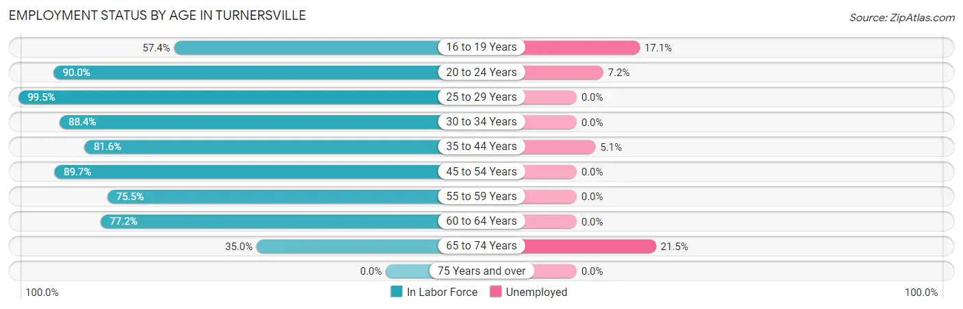 Employment Status by Age in Turnersville