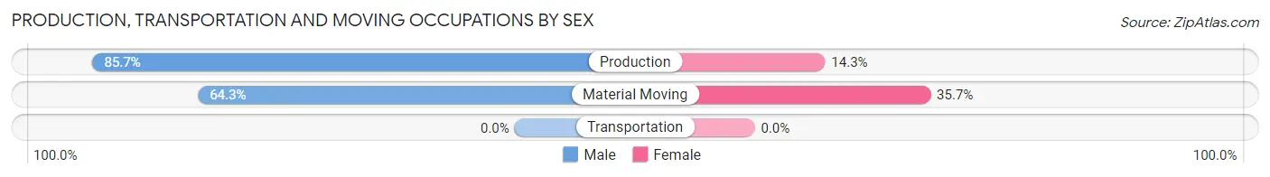 Production, Transportation and Moving Occupations by Sex in Vernon Valley