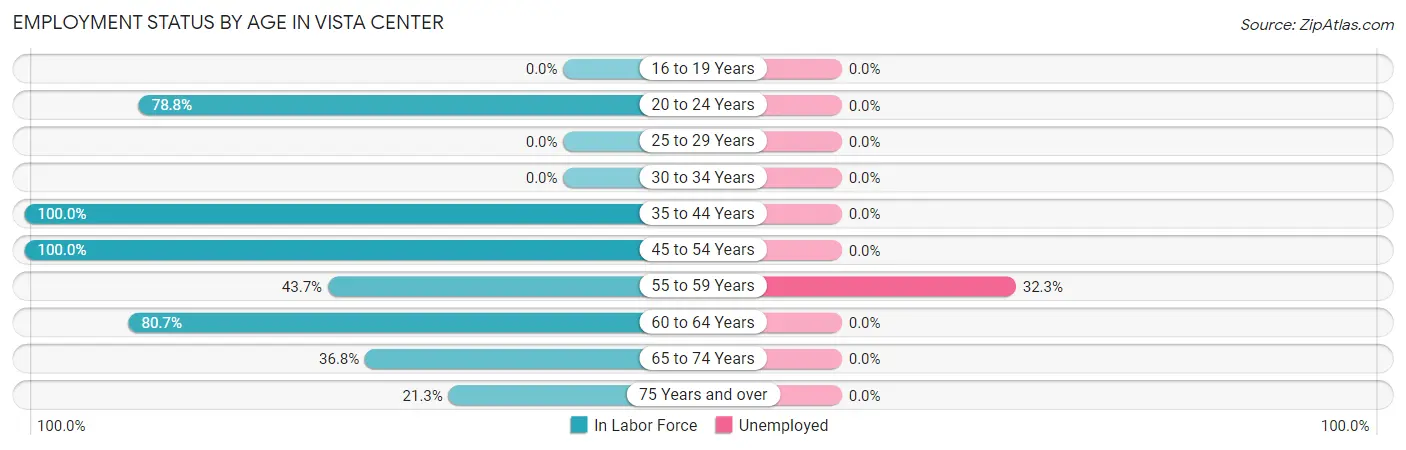 Employment Status by Age in Vista Center
