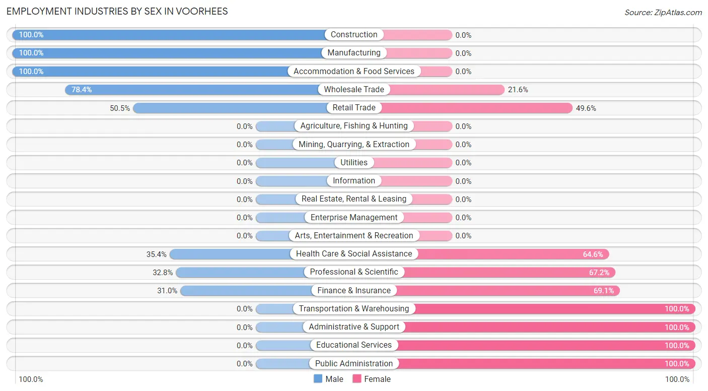 Employment Industries by Sex in Voorhees