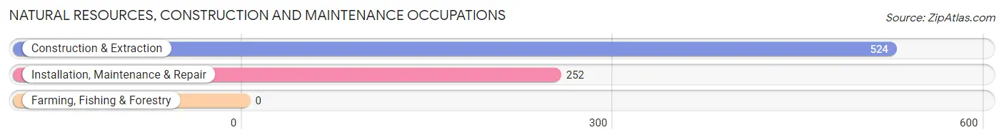 Natural Resources, Construction and Maintenance Occupations in Wanaque borough