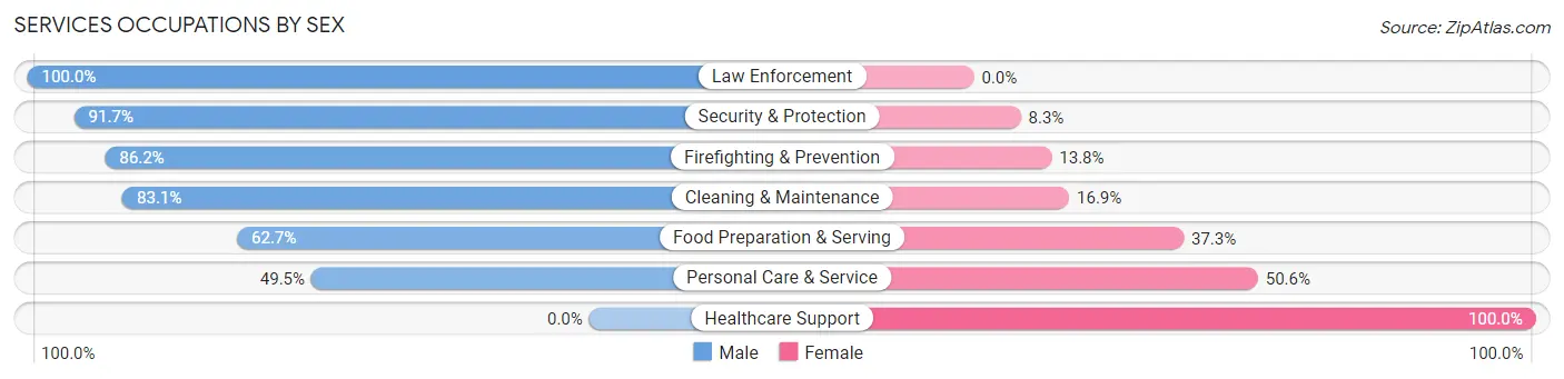 Services Occupations by Sex in Washington borough