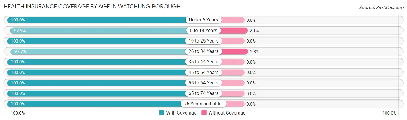 Health Insurance Coverage by Age in Watchung borough