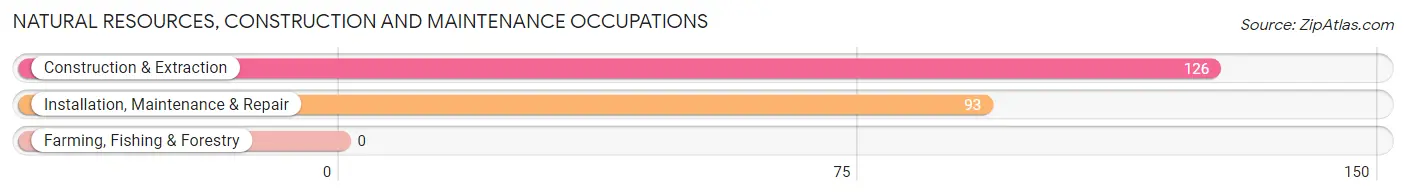 Natural Resources, Construction and Maintenance Occupations in Westville borough