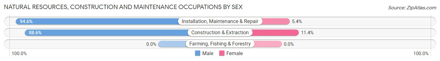 Natural Resources, Construction and Maintenance Occupations by Sex in Westwood borough