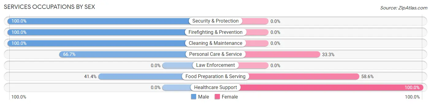 Services Occupations by Sex in Wildwood Crest borough