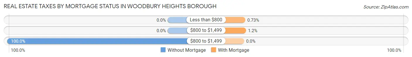 Real Estate Taxes by Mortgage Status in Woodbury Heights borough