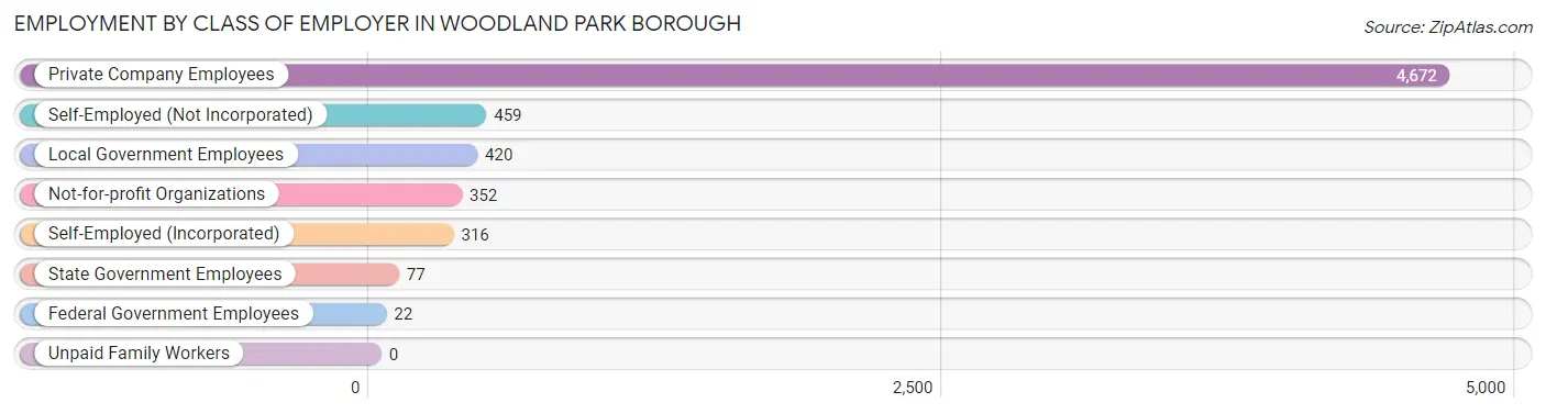 Employment by Class of Employer in Woodland Park borough