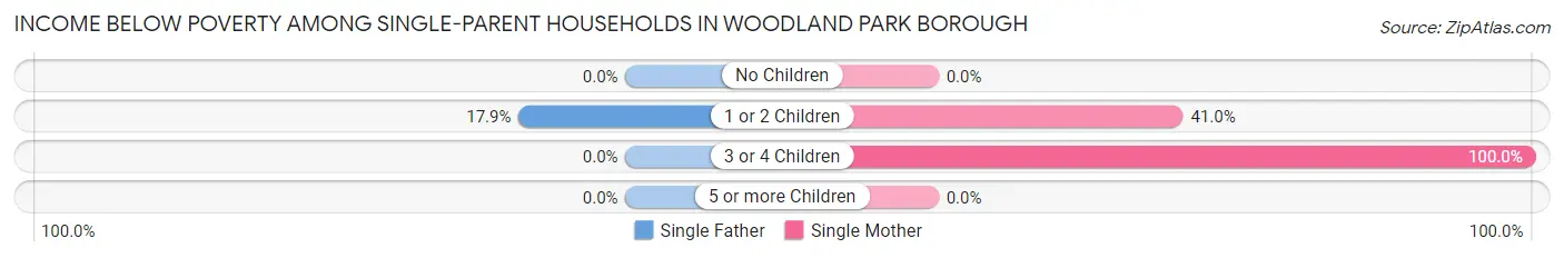 Income Below Poverty Among Single-Parent Households in Woodland Park borough