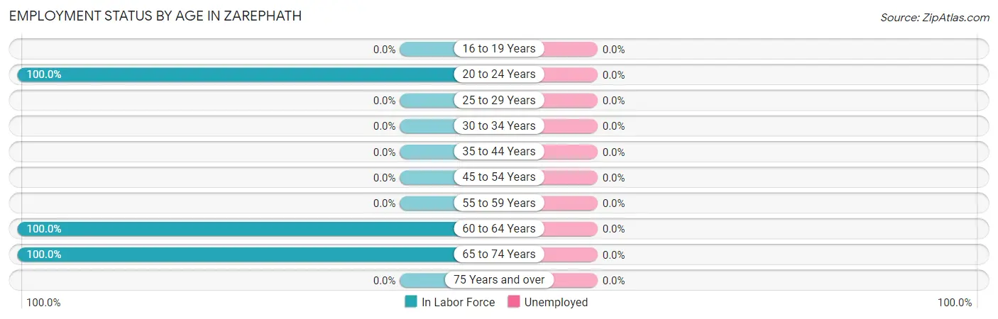 Employment Status by Age in Zarephath