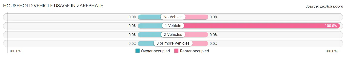 Household Vehicle Usage in Zarephath