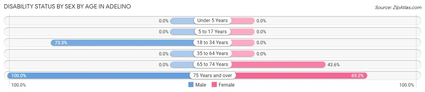 Disability Status by Sex by Age in Adelino