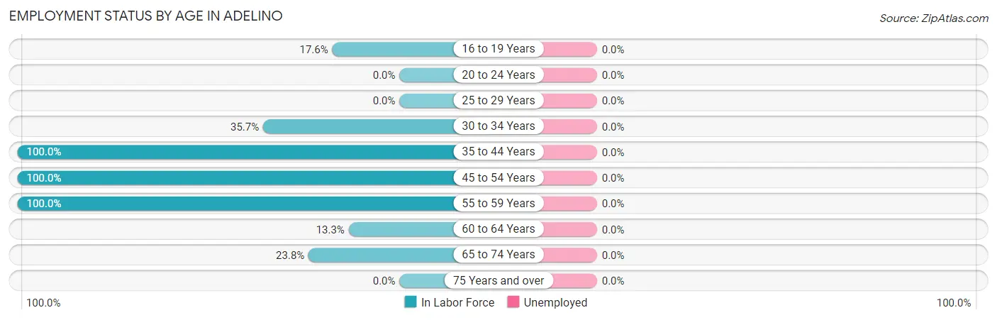 Employment Status by Age in Adelino